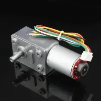 Hightorque Turbo worm Geared motor GW370 DC12V 19RPM motor with encoder