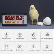 Digitális automatikus keltető vezérlő, termosztát