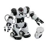 Robosapiens, RC Robot, távirányítható