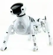 Robot kutya