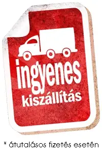 EEM – Egykerekű Elektromos Motor