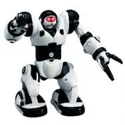 Robone Roboactor, TPC  TT313