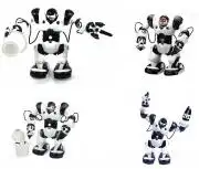 Robone Roboactor, TPC  TT313