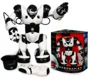 Robone Roboactor, TPC  TT313